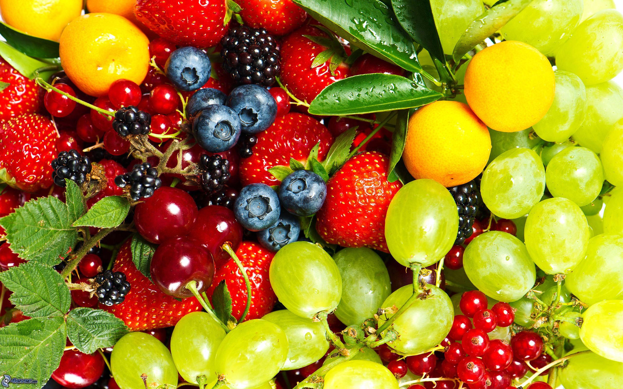 Siamo alla frutta