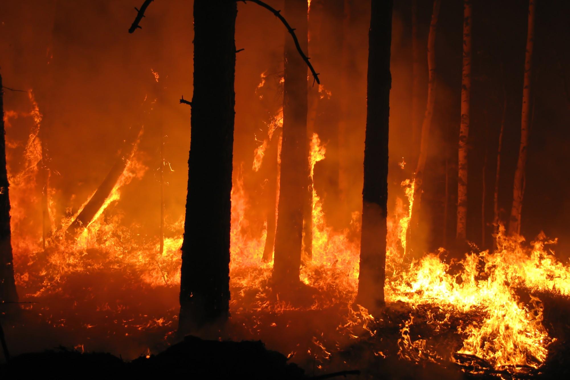 La normalità del nostro tempo: siccità, incendi e nubifragi
