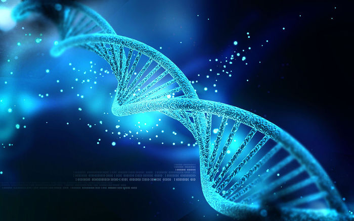 “Zippato” il Dna, come si fa con i file pesanti