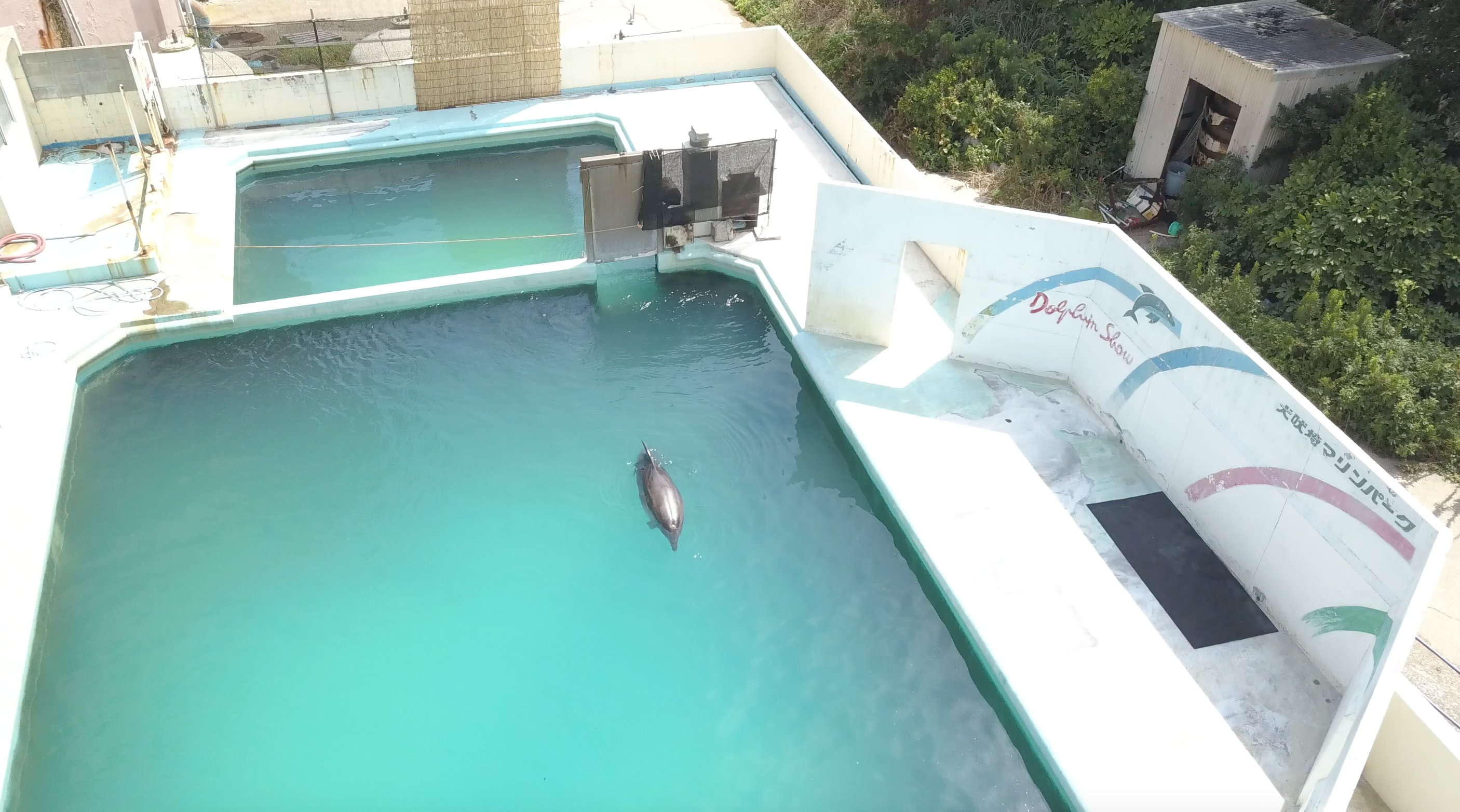 Prigionieri nell’acquario