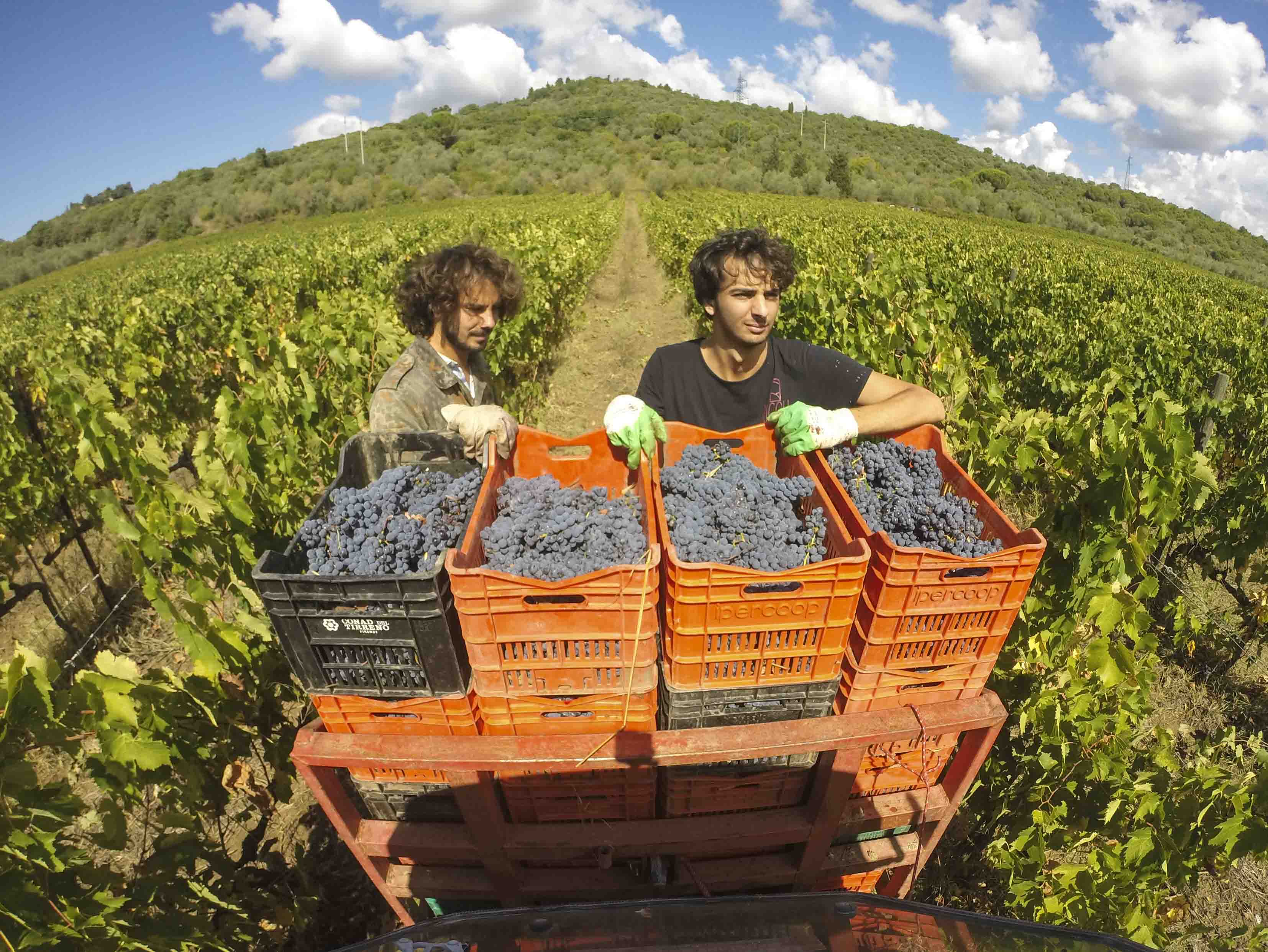 Ritorno alla terra