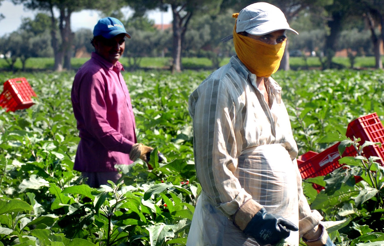 Oltre 2 milioni i lavoratori extracomunitari