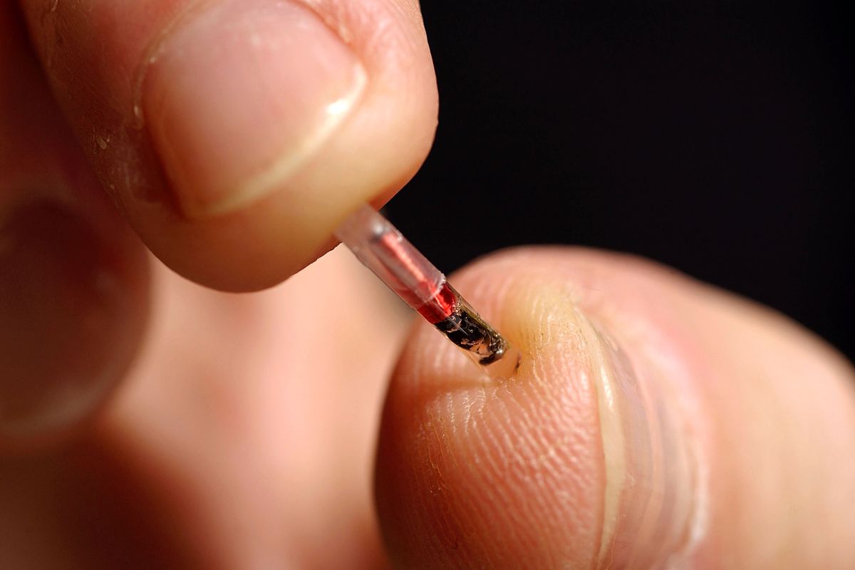 La vita in un microchip