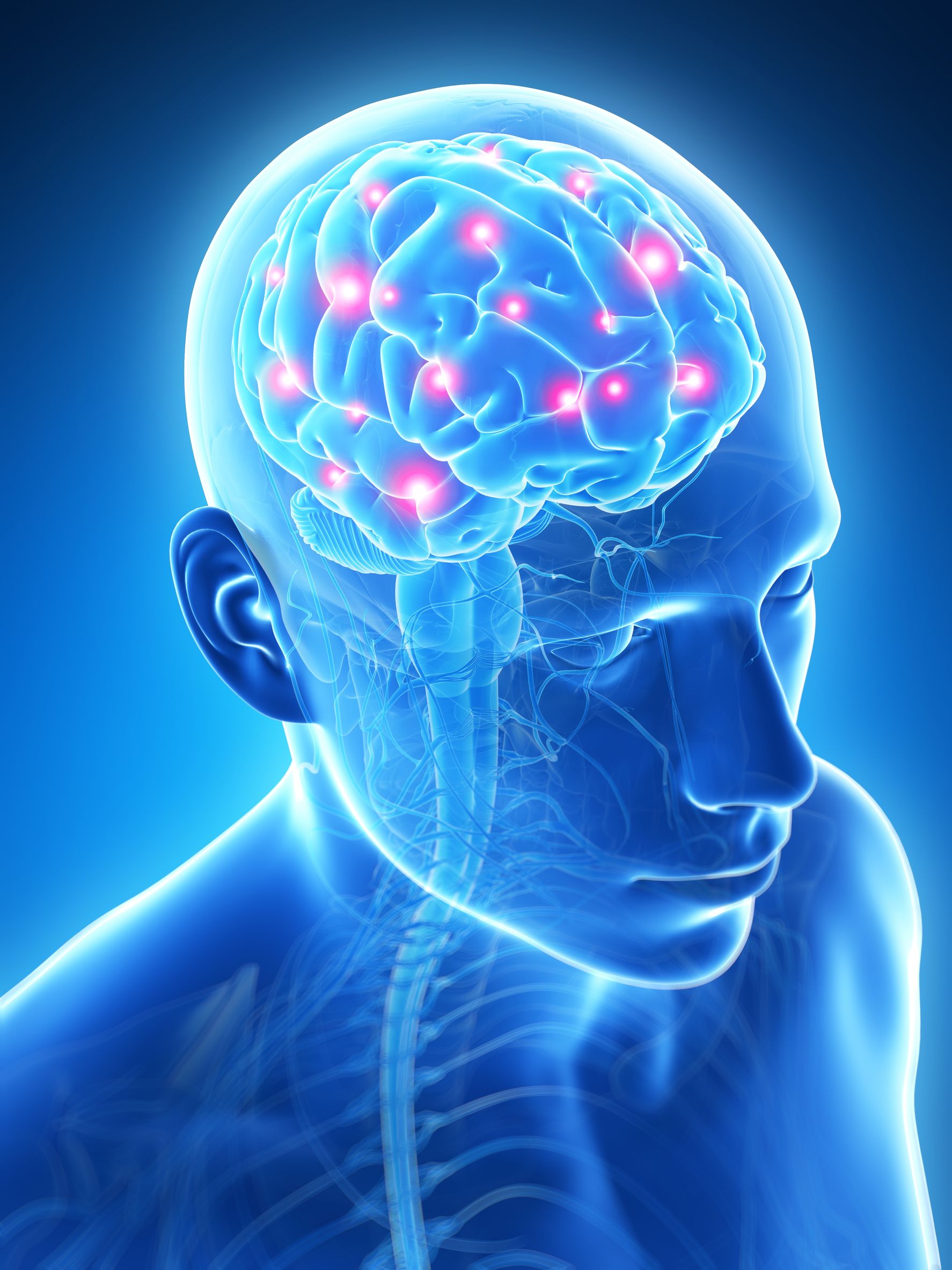 Alla scoperta del cervello