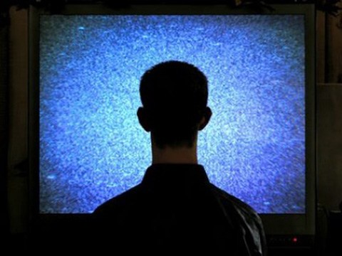 Televisione, delfini e orche ammaestrate