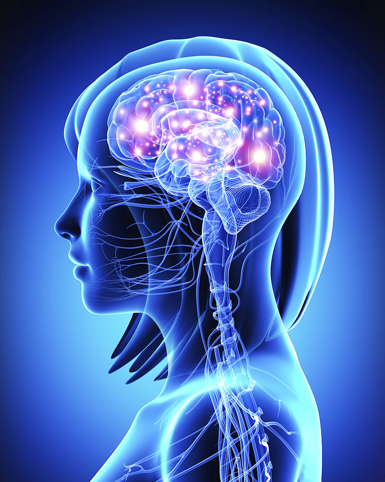 Memoria: cosa danneggia il nostro cervello 