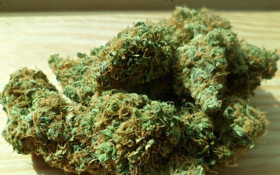 Stop alla cannabis light: i dubbi dopo la Cassazione