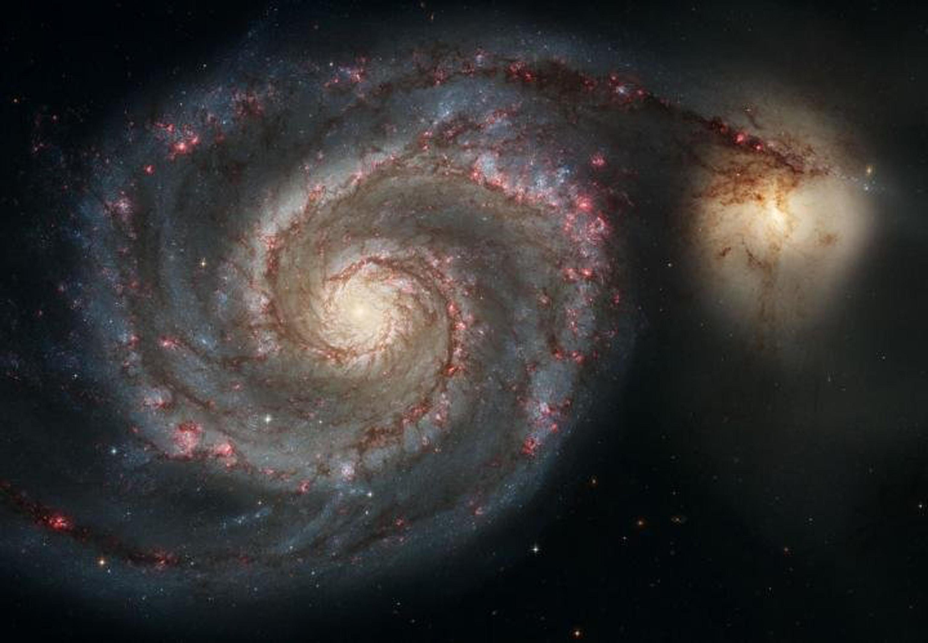 Nel nome del cosmo