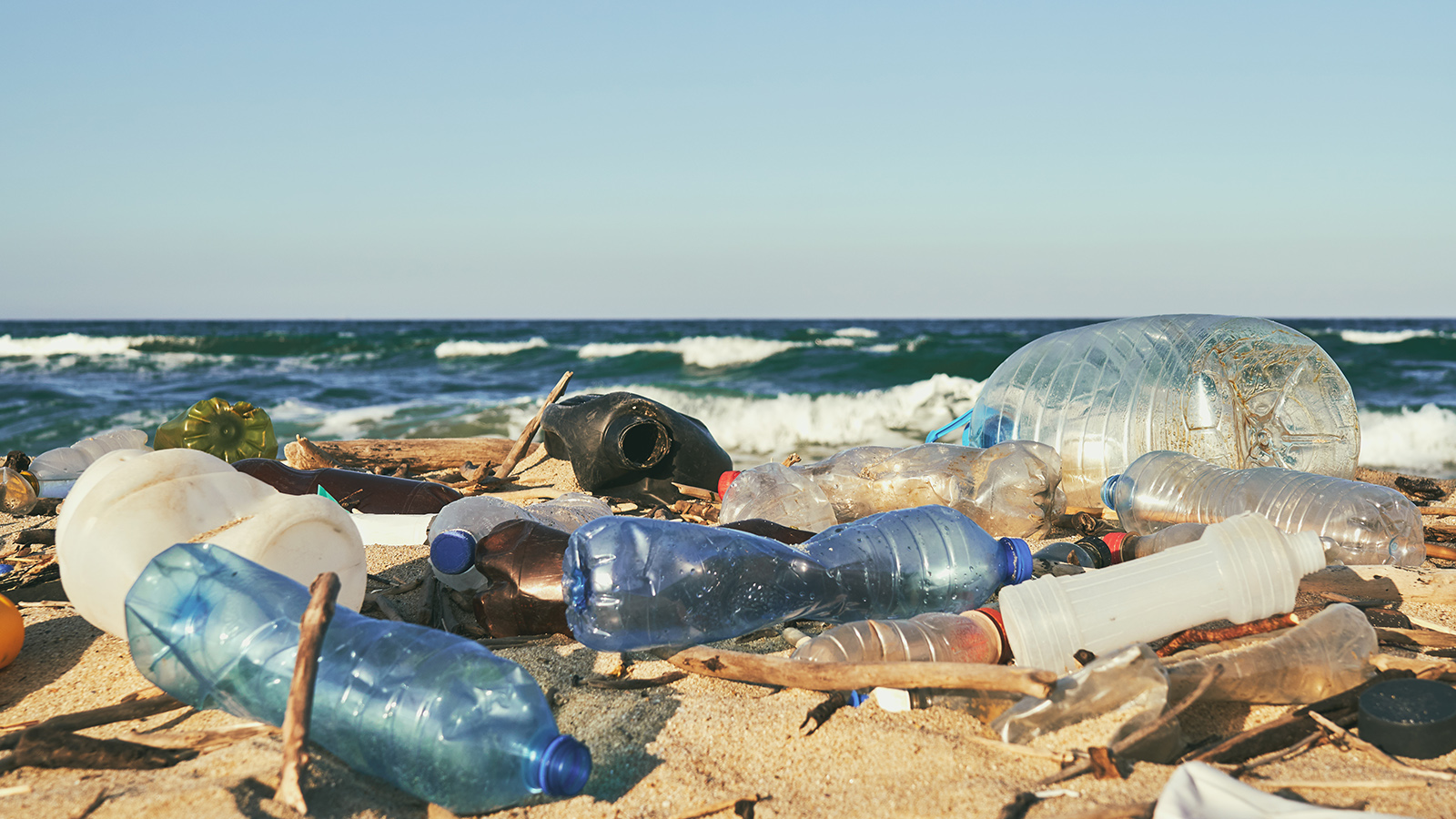 Un mare di plastica