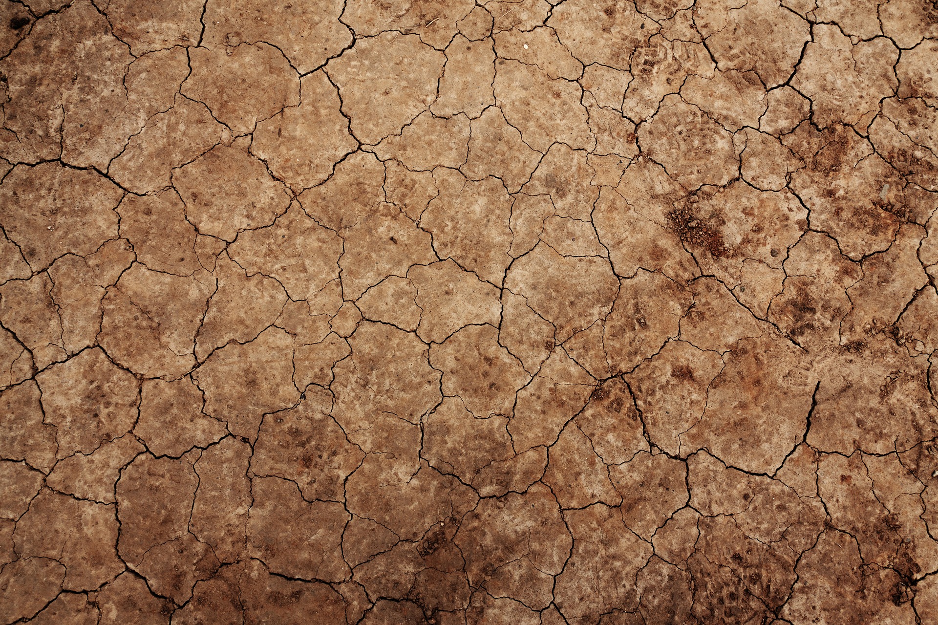 Il Rogo (senza CO2) dei Negazionisti