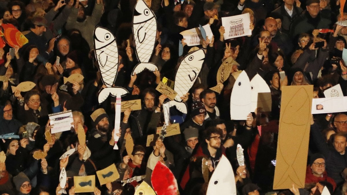 Sardine e scatolette 