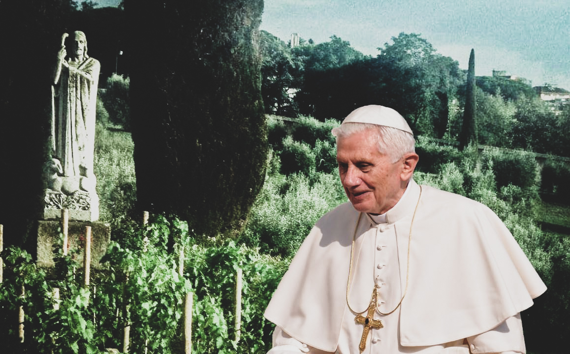 Papa Benedetto aveva una vigna 