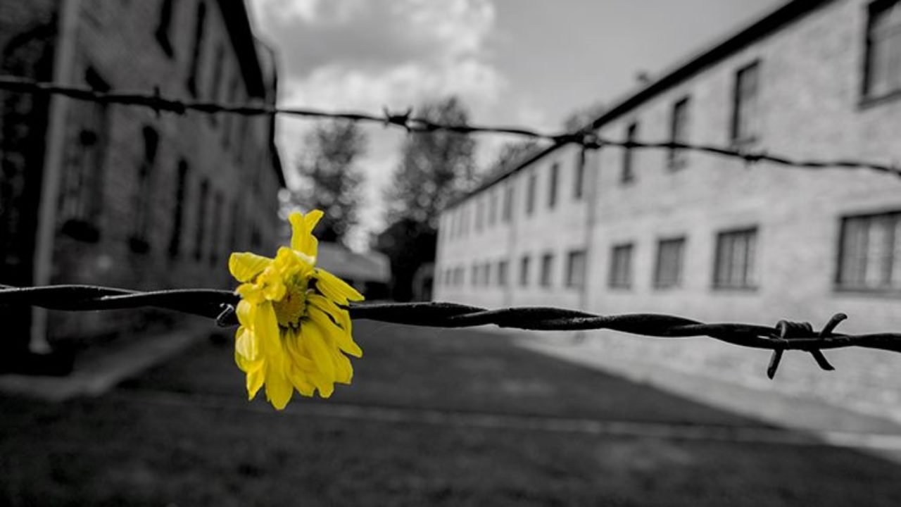 “Gli Stati generali della memoria”: un progetto di UniNettuno e di Ecad