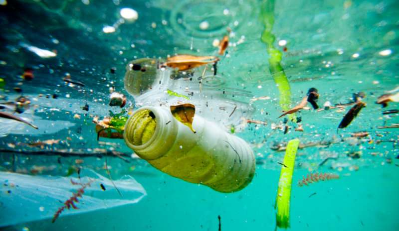 Non dobbiamo più vivere circondati dalla plastica 