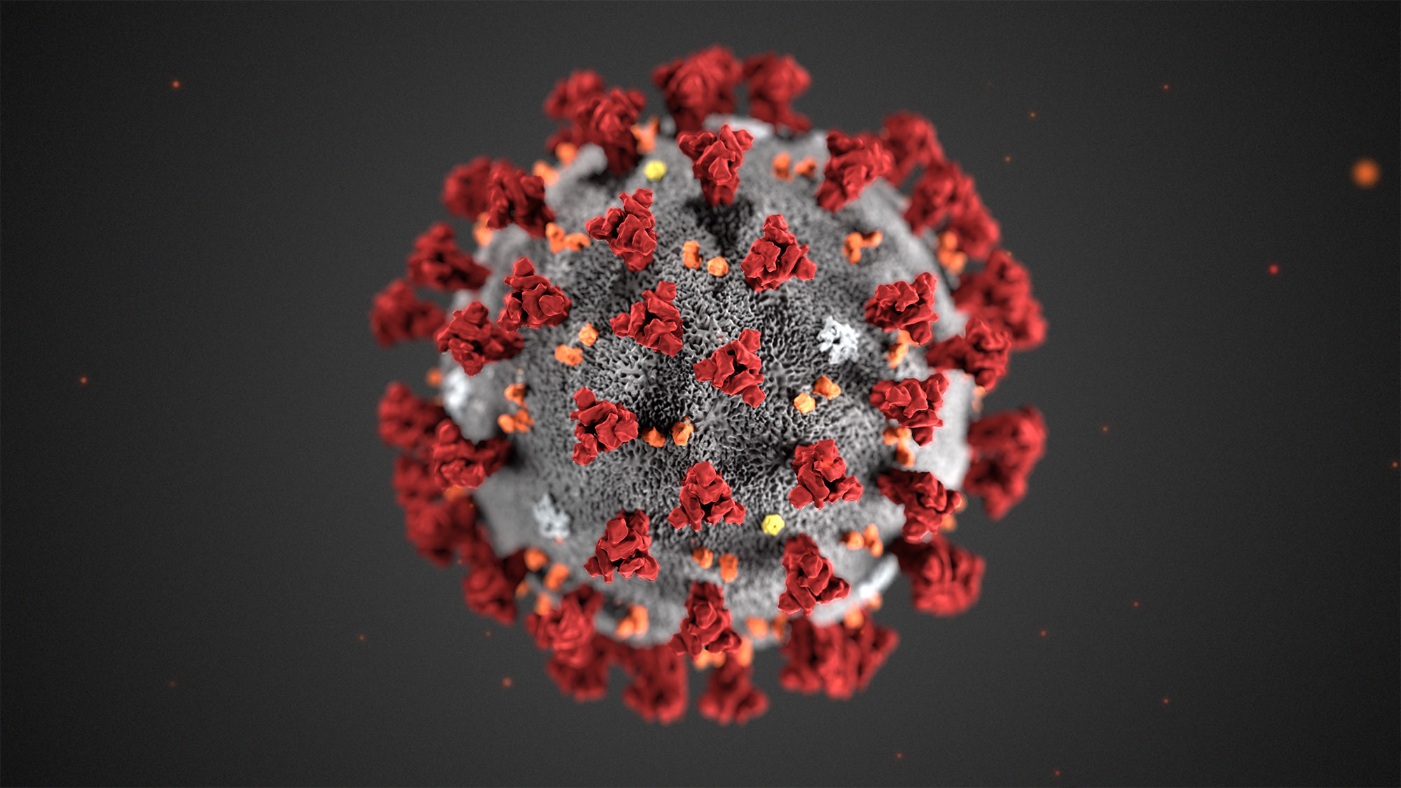 Coronavirus, il morbo della geopolitica