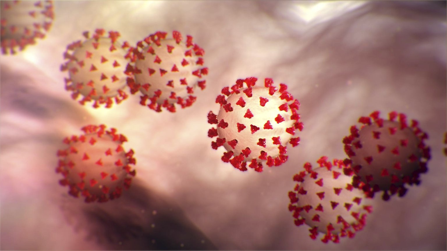 Le “corone” del coronavirus