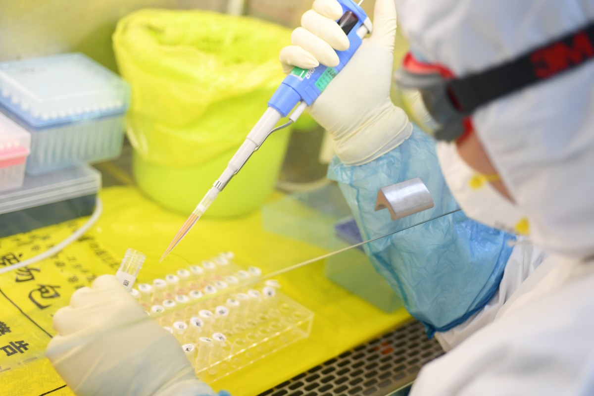 Coronavirus, dal plasma una possibile cura