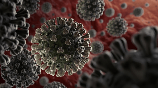 Dieci domande al Coronavirus