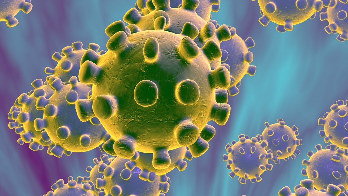 Virus sì, virus no, anzi sì, anzi no