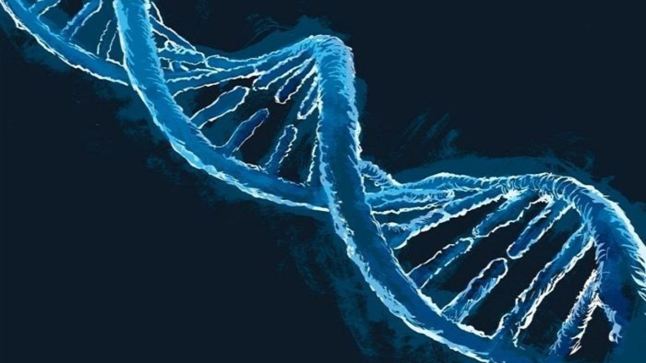 La ricerca scientifica della energia umana