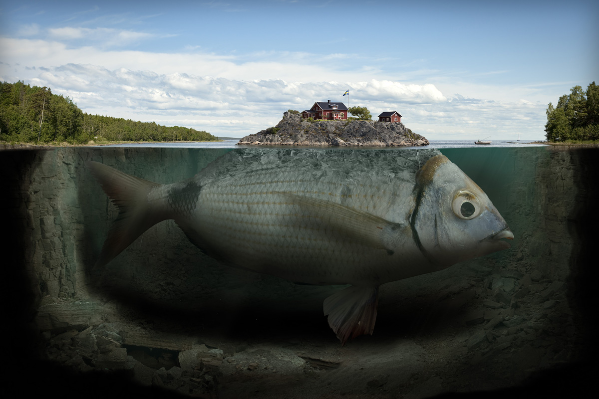 L’isola che non c’è