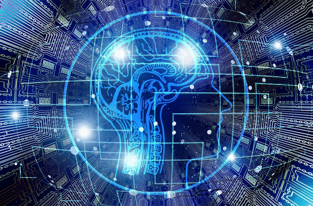 Cervello: la connessione del claustro alla coscienza 