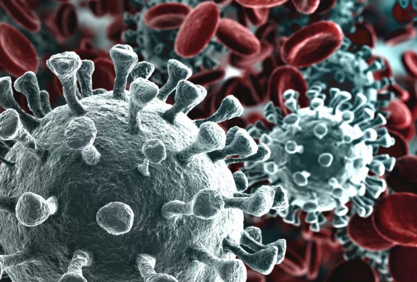 La pandemia e la ricerca del capro espiatorio