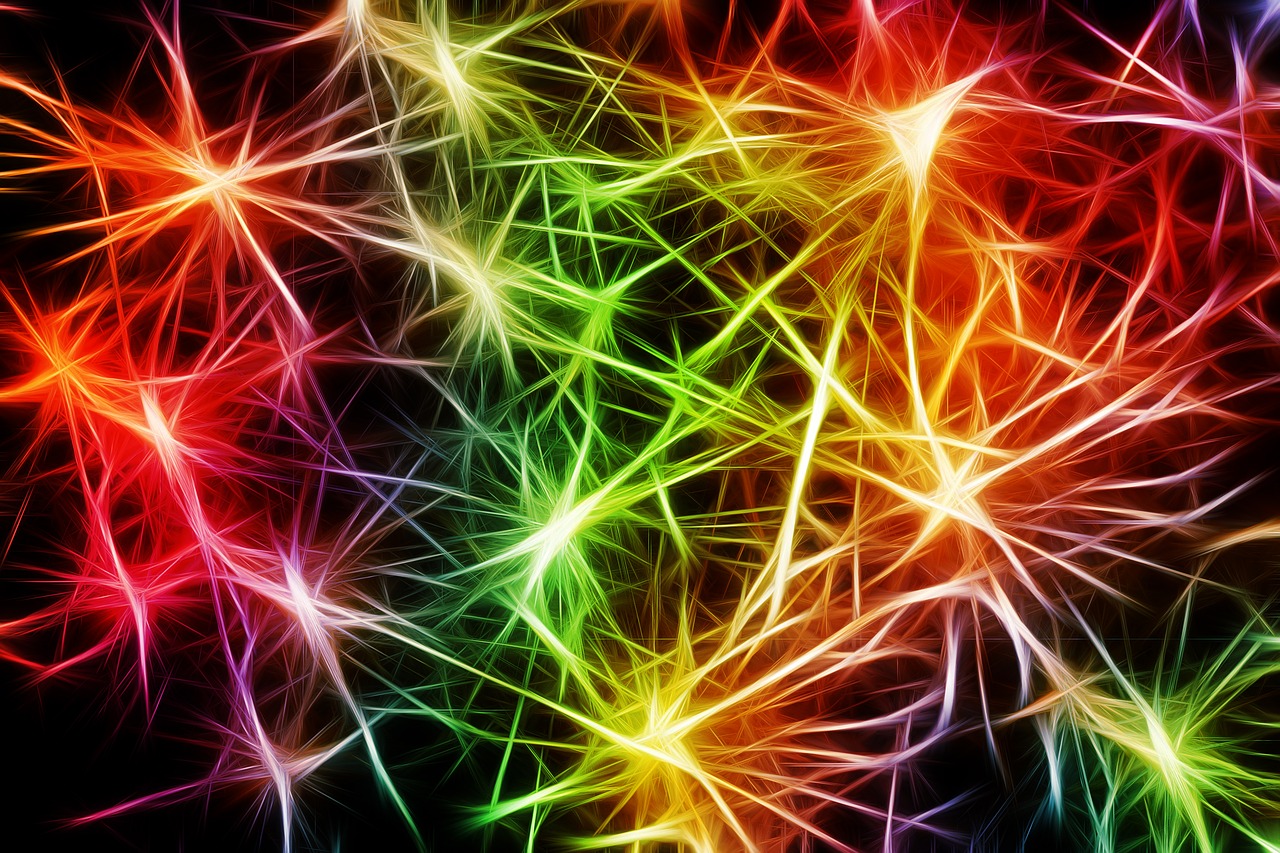 La dimensione elettrica della vita