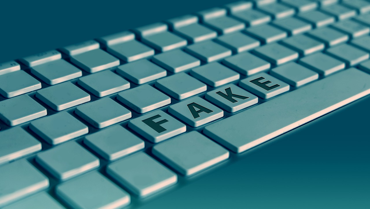  La “black box” dell’informazione