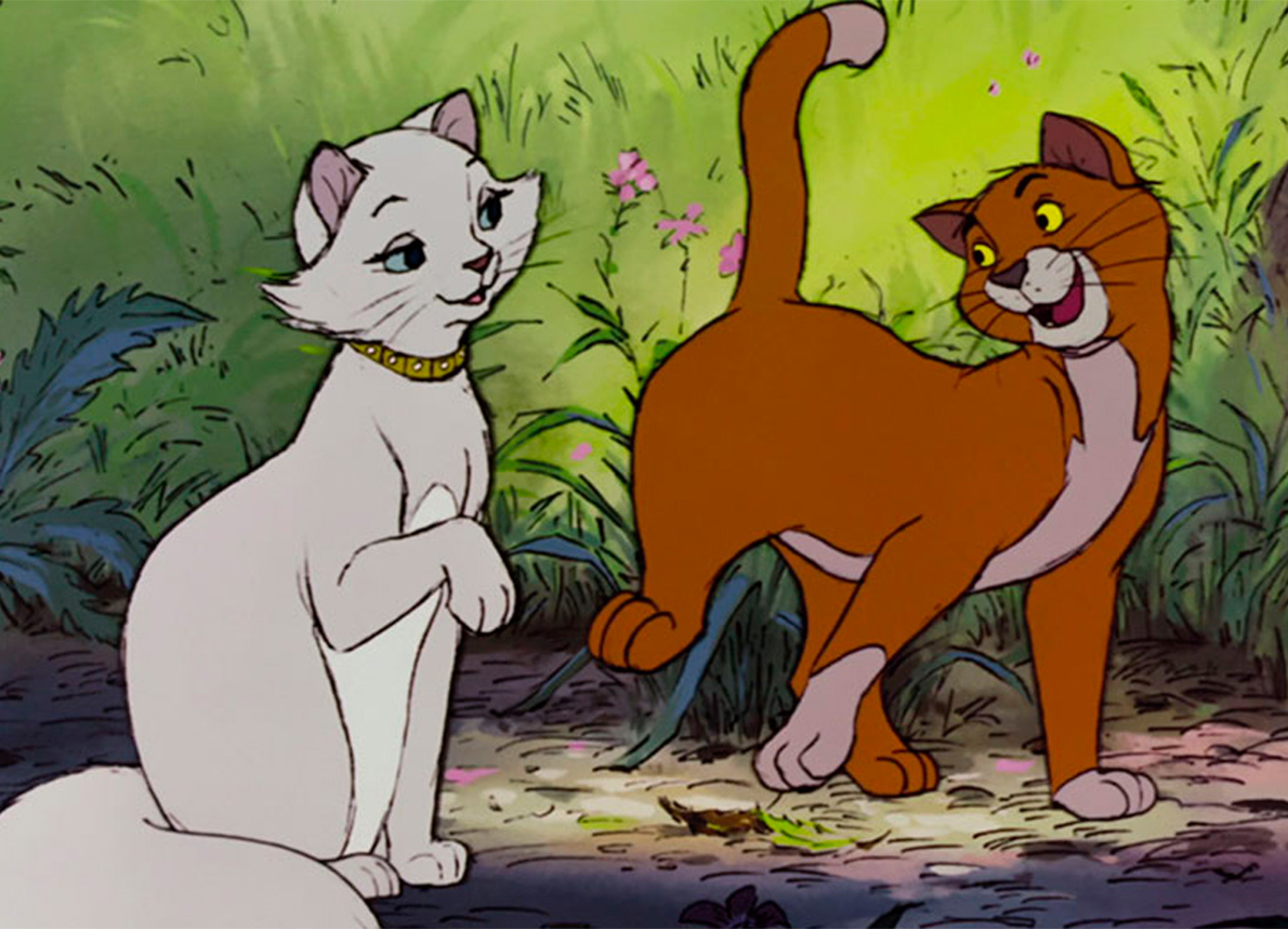Miaocalling