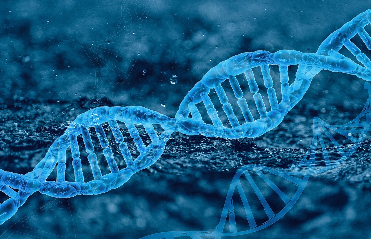 Principi di etica e le origini della manipolazione genetica