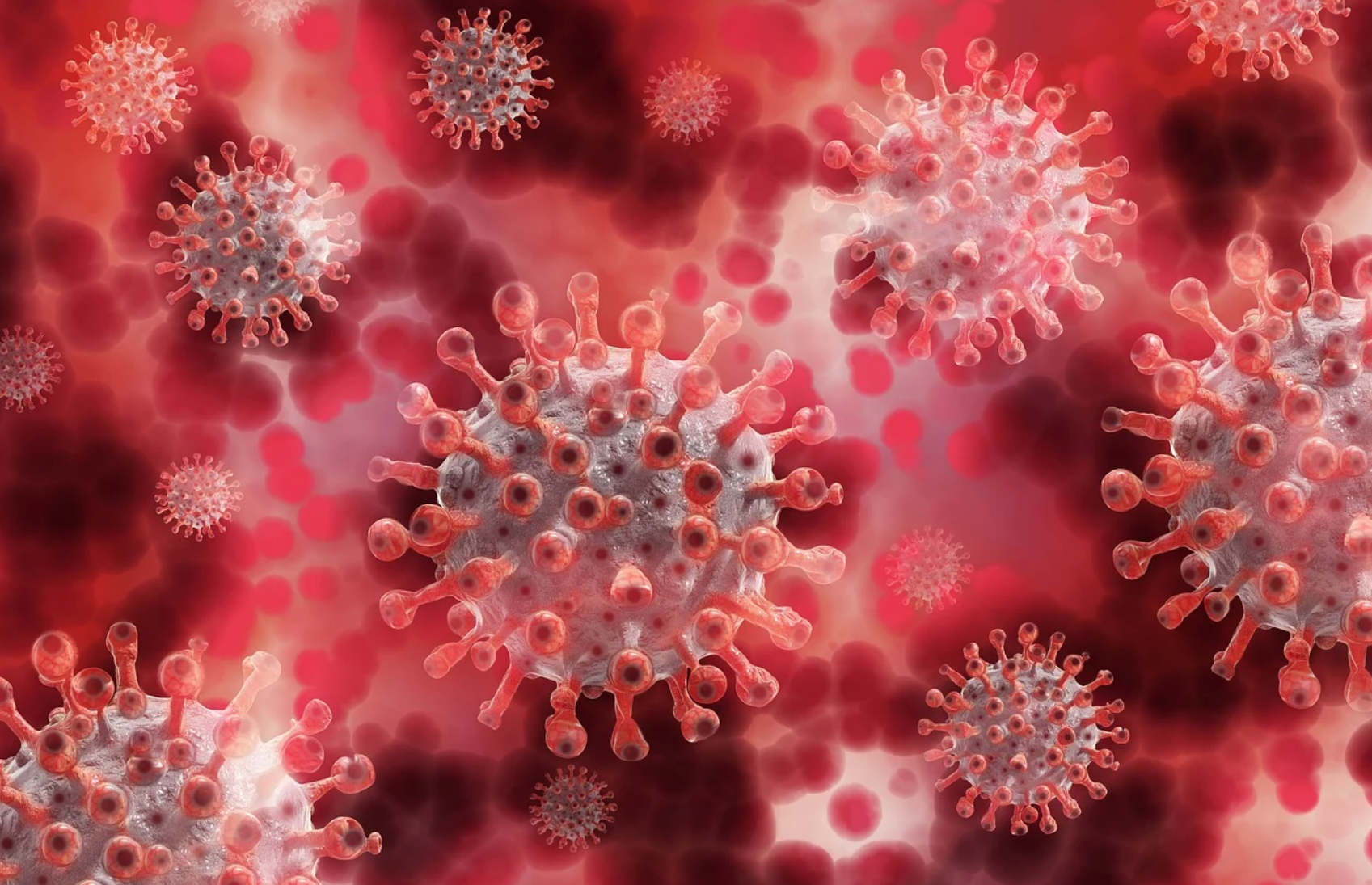 Restare a Kabul e i due virus