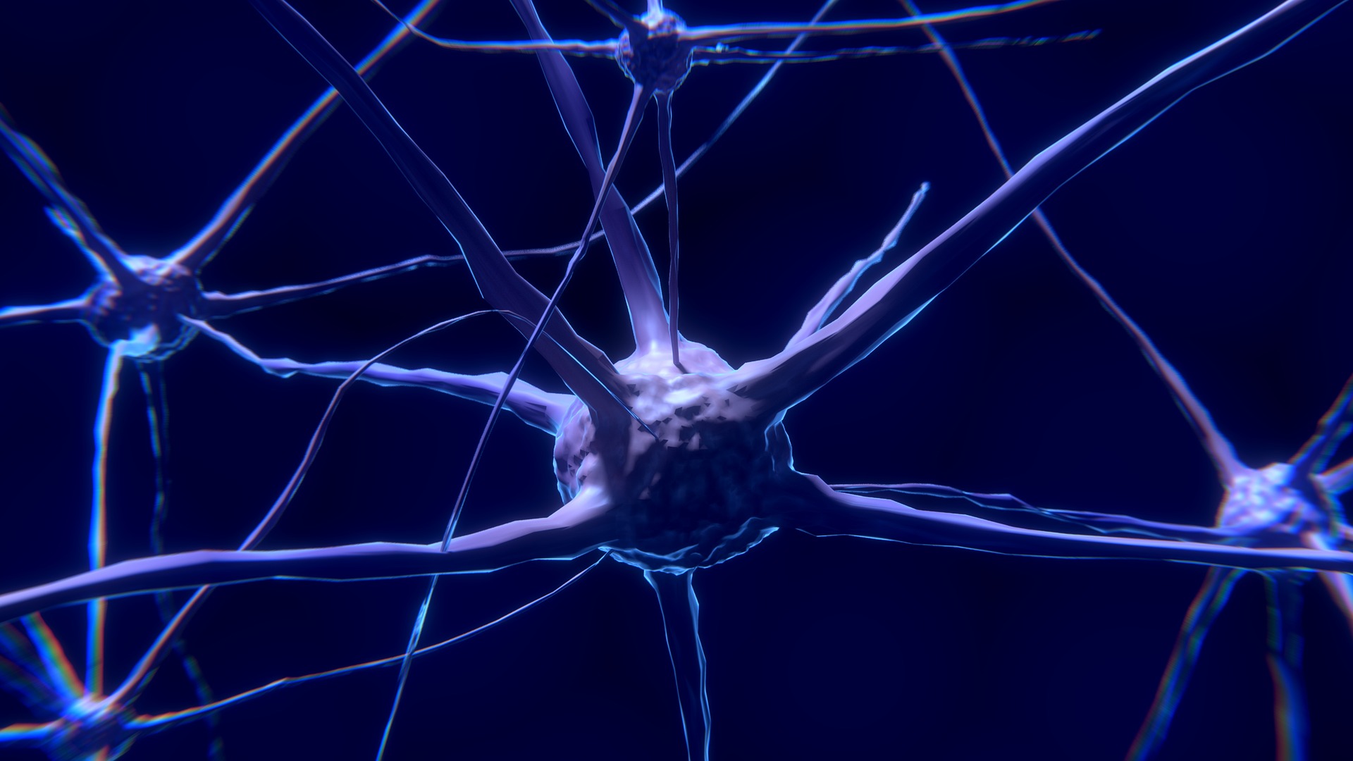 Per diagnosticare l’Alzheimer basta una risonanza
