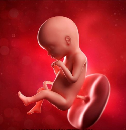 L’aborto