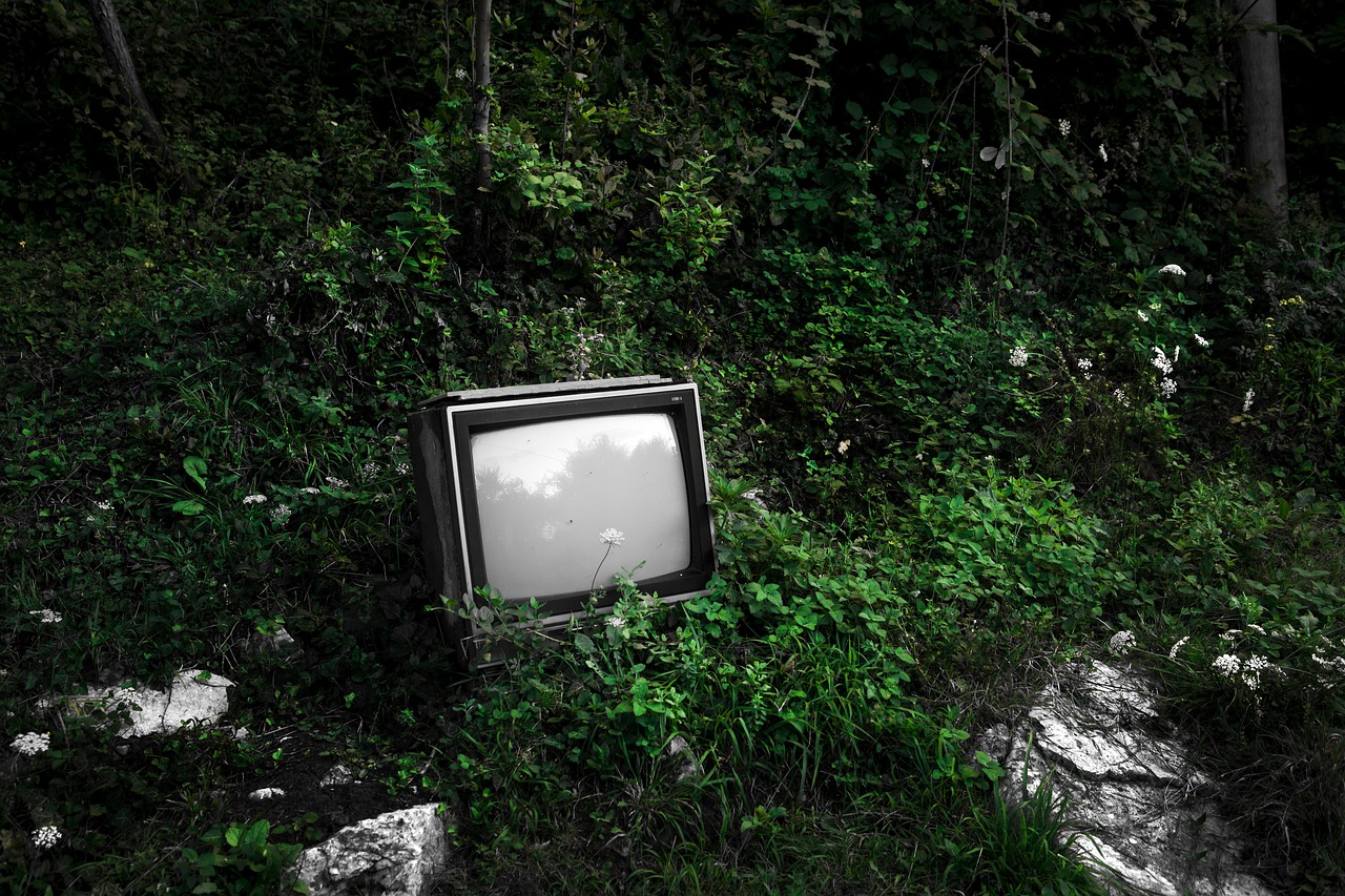 La tv mi duole