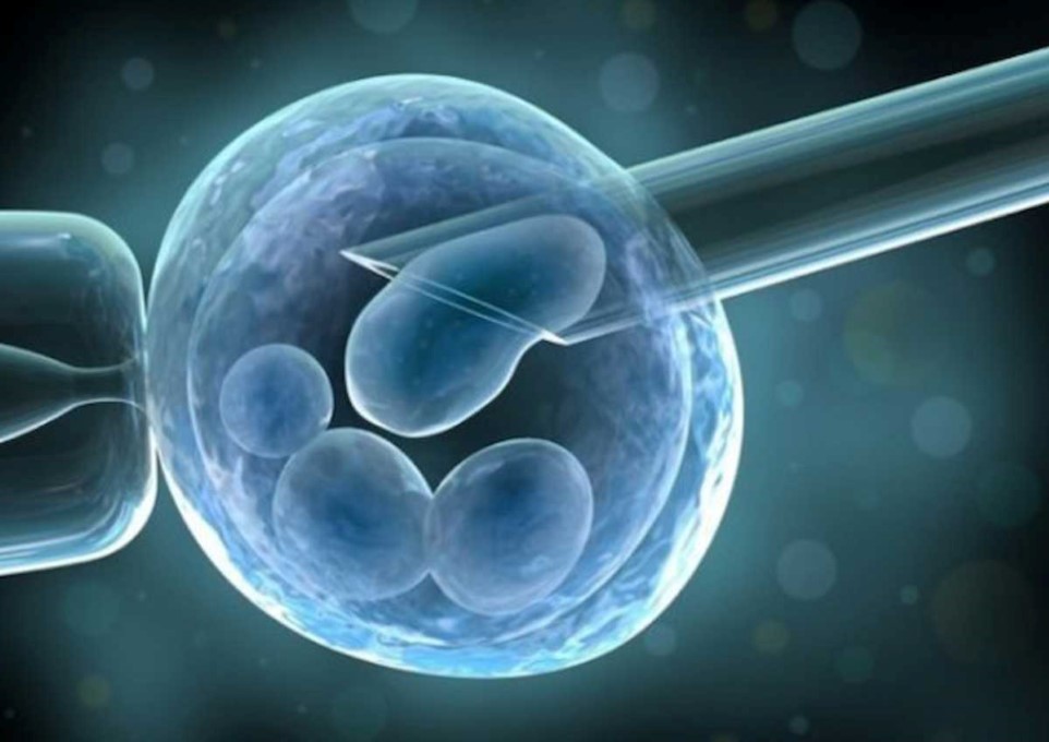 Stepchild Adoption, fecondazione eterologa e maternità surrogata