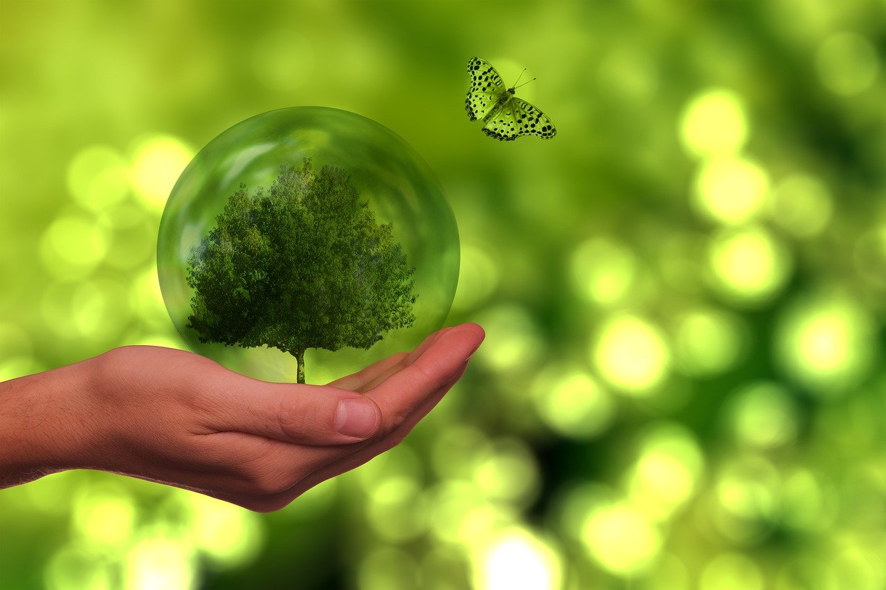 Italiani preoccupati per il futuro dell’ambiente