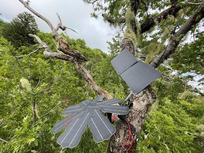 La biodiversità e il ruolo delle tecnologie intelligenti