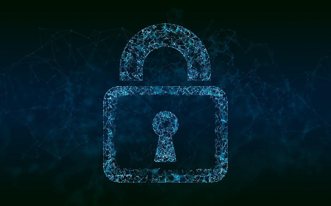 Cyber-security: gli esperti di sicurezza informatica