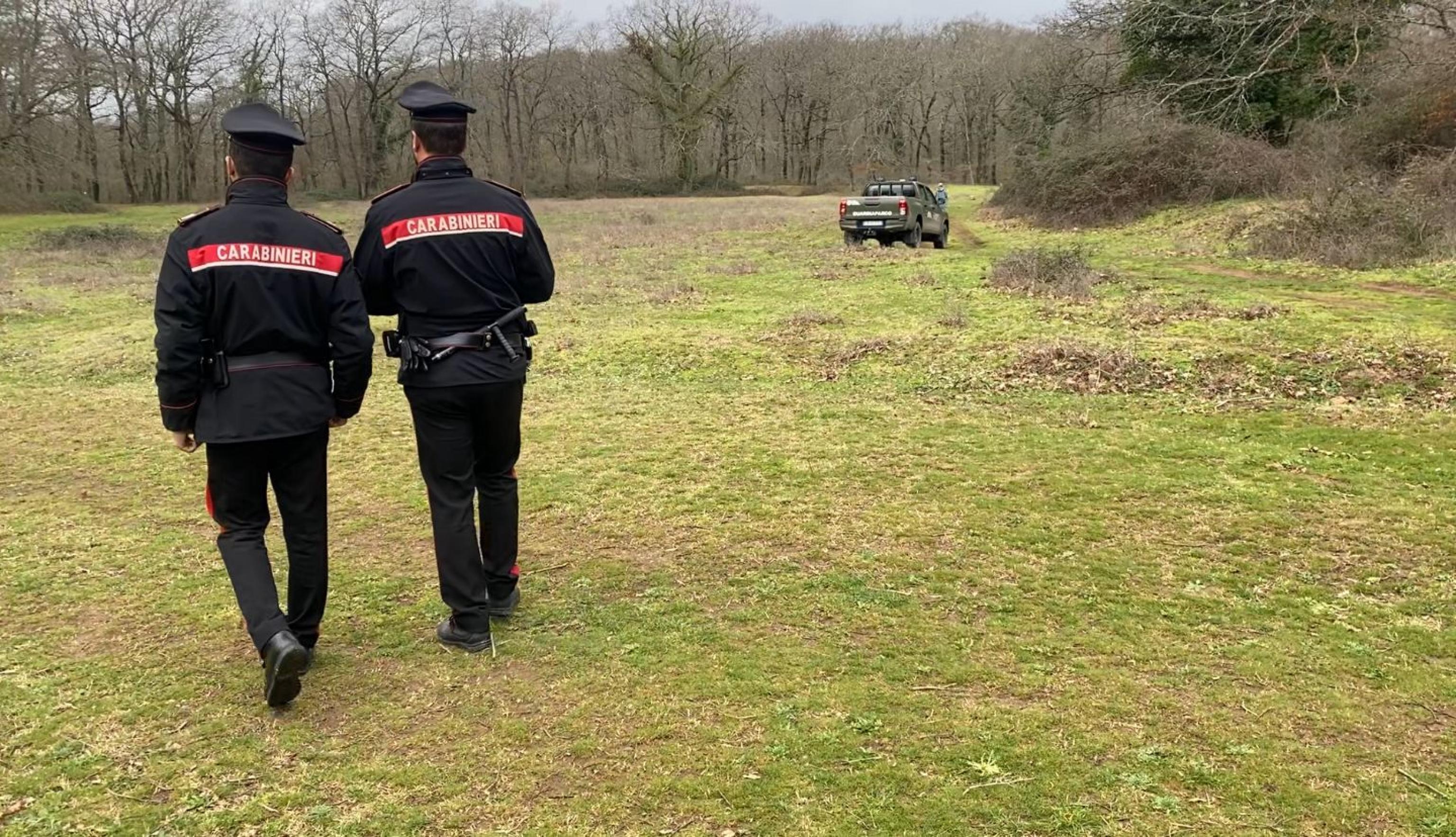Sbranato e ucciso da tre rottweiler: orrore alle porte di Roma