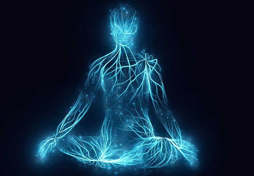 La vita è un fenomeno quantistico
