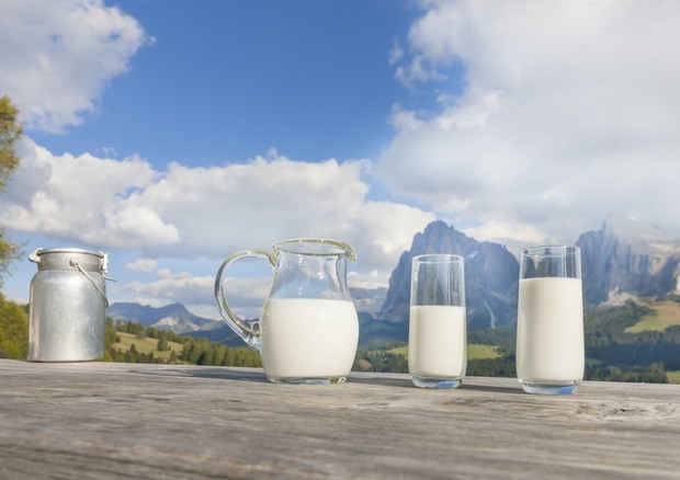 Il latte è bianco? Allarme razzismo!