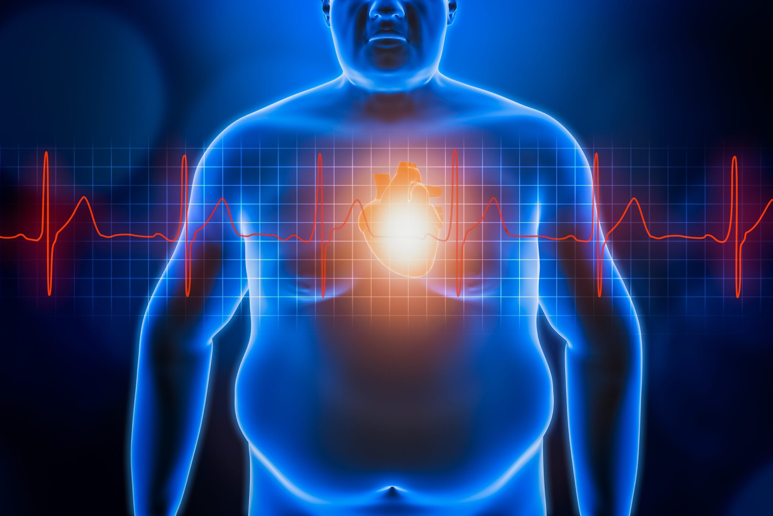 Sos cardiobesità, dare al cuore il giusto peso