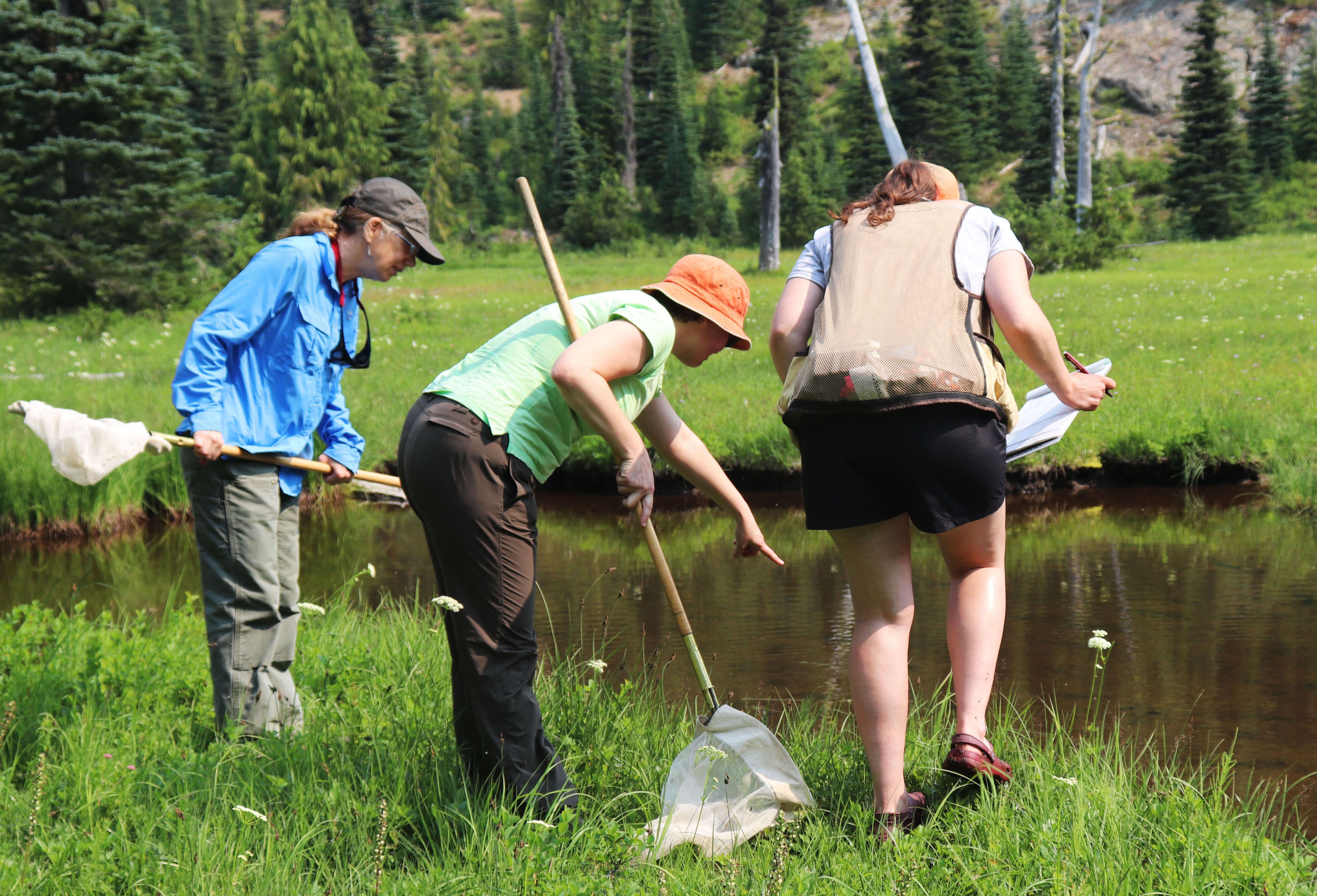 Fisica quantistica e citizen science