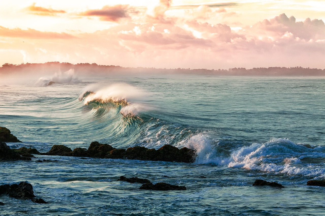 Mare e acqua biologica umana: l’acqua è 100 per cento energia