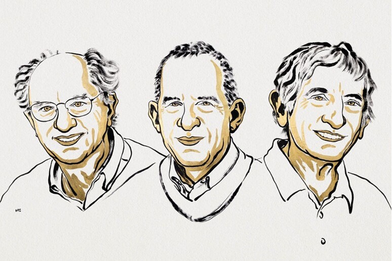 Nobel per la Fisica 2025 a Clarke, Devoret e Martinis