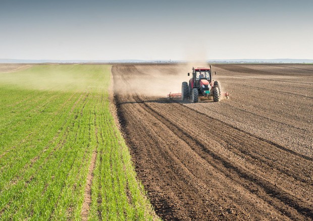 Il futuro dell’agroindustria brasiliana e latino-americana