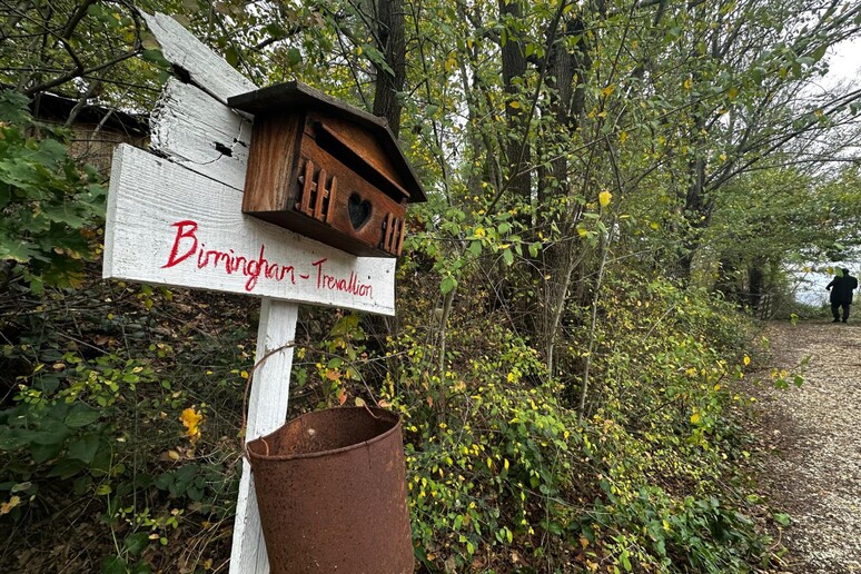 Bimbi del bosco: tra tutela dei minori e libertà di vita